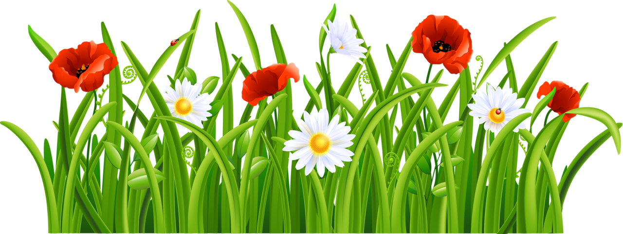 4 - Grass And Flower Clip Art (1280x481), Png Download
