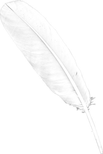 Feather Png Download Free - Transparent Background White Feather (335x500), Png Download