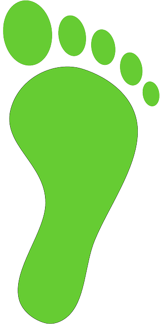 Discover The Meaning Of Carbon Footprint, As Well As - Footprint Carbon Png (320x640), Png Download