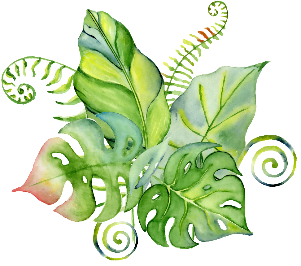 Hand-painted Leaves Of Four Slices Of Green Oil Png - Tropical Bouquet Aquarelle (1024x1024), Png Download