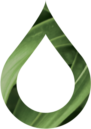 Easy Oil Solutions - Christmas Tree (450x450), Png Download