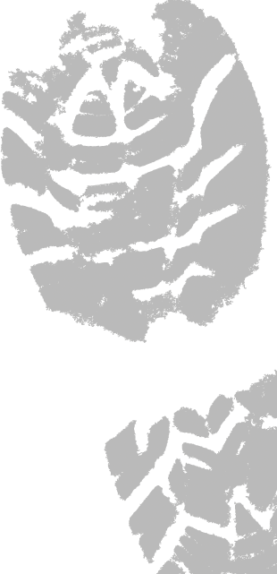 Footprint - Illustration (310x641), Png Download