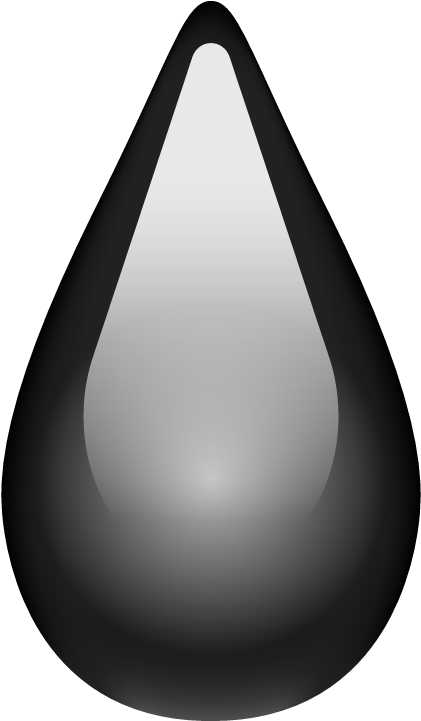 Bag (800x800), Png Download