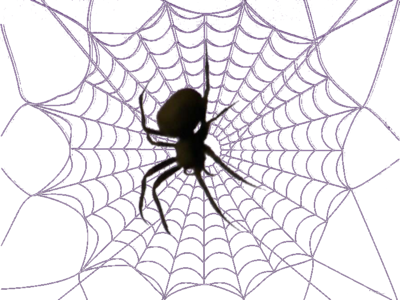 White Spider Web Png Download - Teia De Aranha Png (400x300), Png Download
