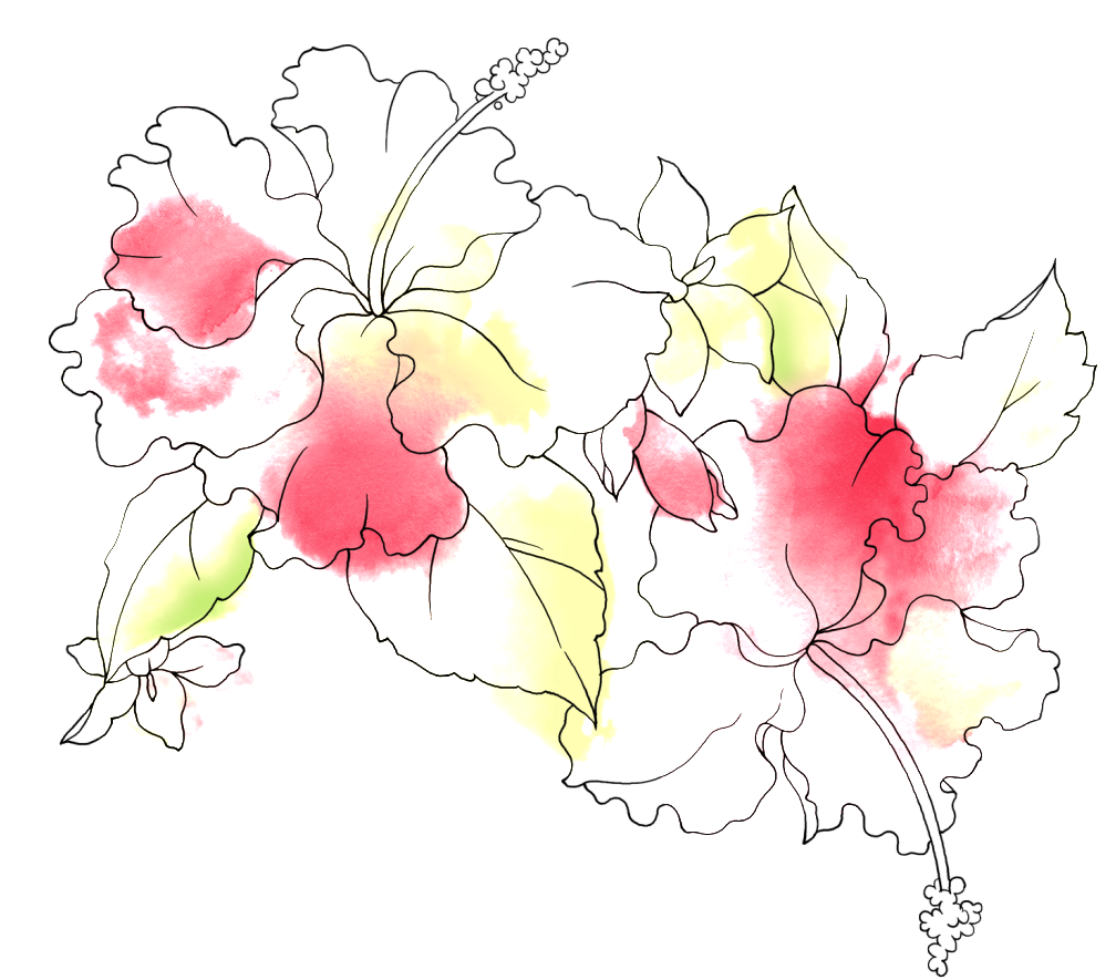 Flower Pattern (1023x915), Png Download