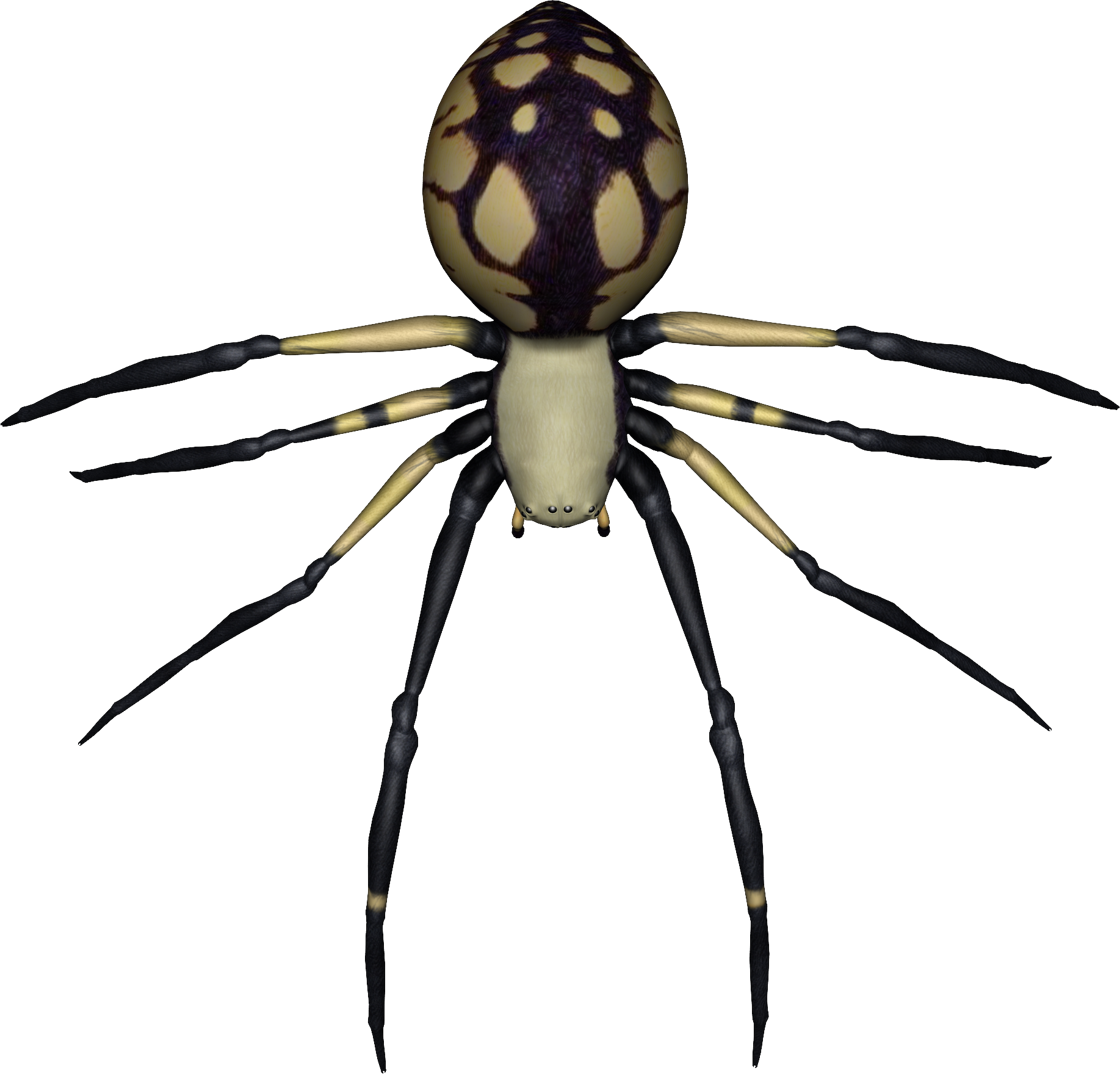 Spider Png Image - Transparent Spider Png (1835x1760), Png Download