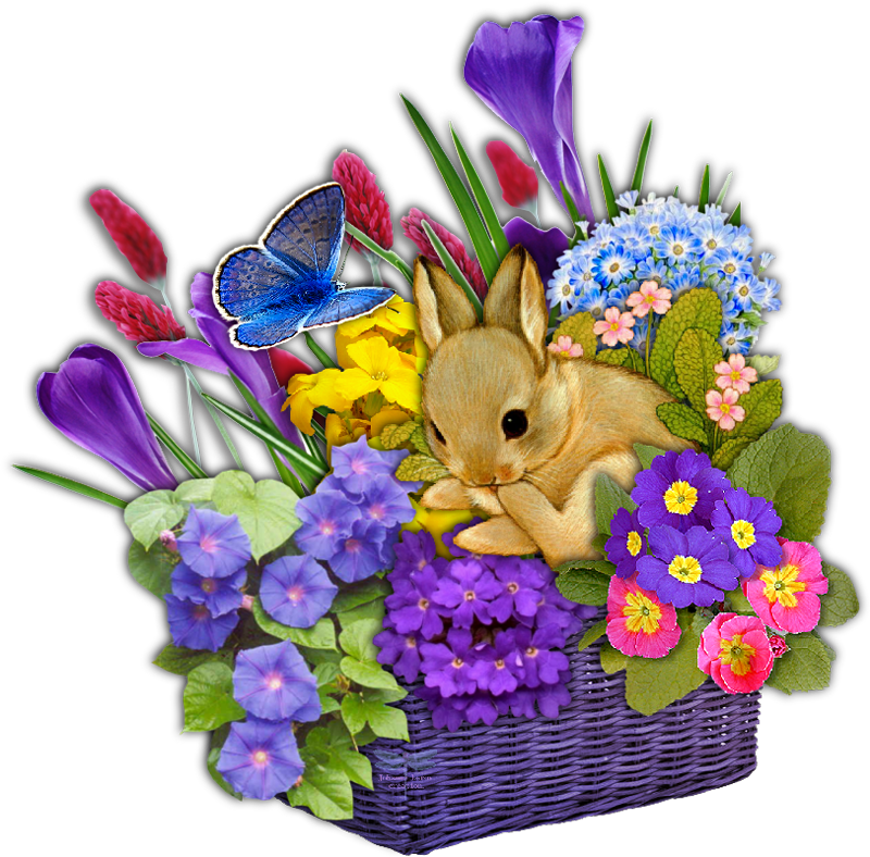 Picnic Basket Png, Vectors, Psd, And Clipart For Free - 3 Pendants May You Always Have A Shell In Your Pocket (800x788), Png Download
