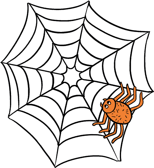Spiders Drawing Hand Drawn Clipart - Spider Web Graphic Organizer (678x600), Png Download