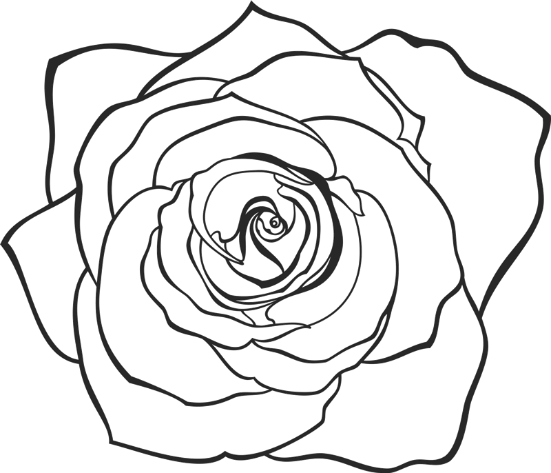 Vector Transparent Library Rose Rubber Flower Leaf - Floribunda (800x686), Png Download