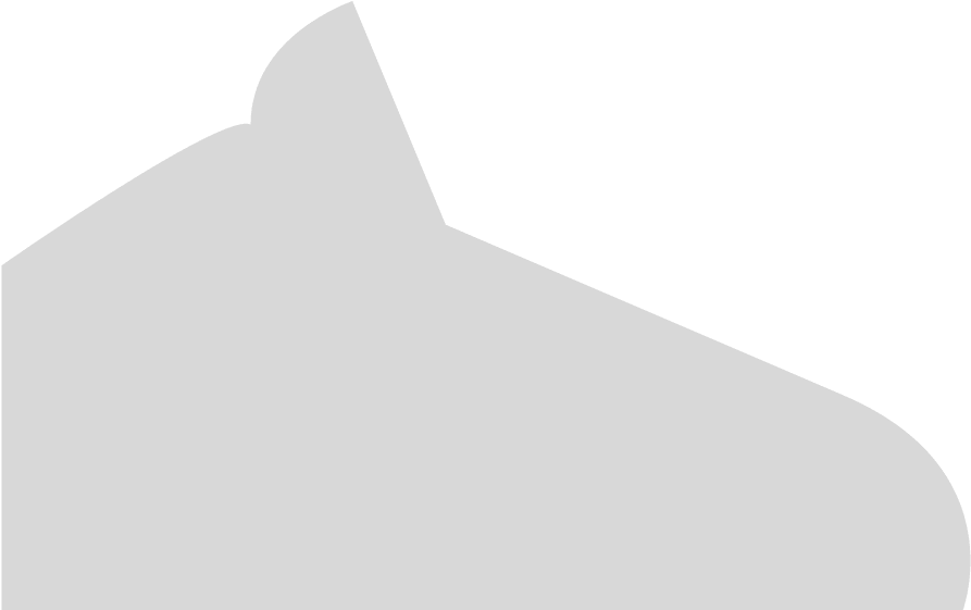 vince carter air force 1