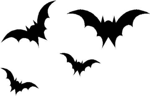 Royalty Free Bat Png Image Silhouettes Pinterest And - Bat Transparent (500x329), Png Download