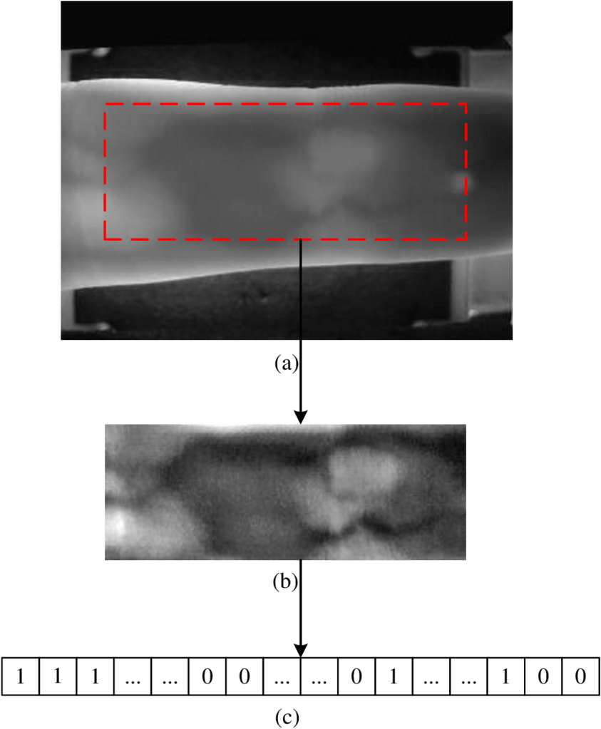 An Example Of A Finger Vein Image, Original Finger - Medical Radiography (850x1048), Png Download