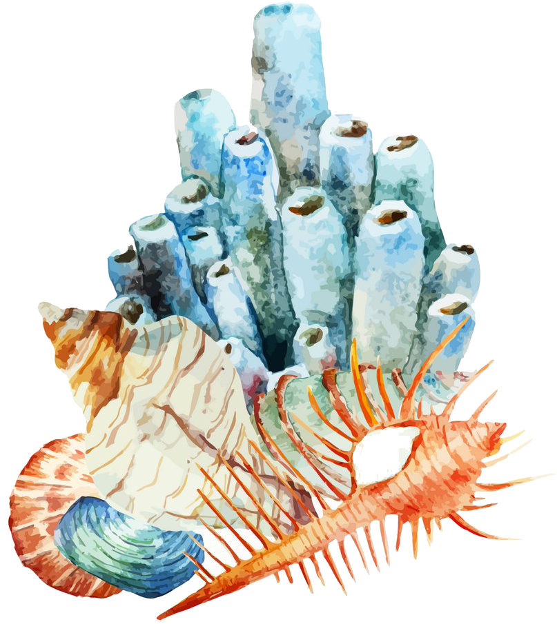Coral Reef Watercolor Painting Illustration - Coral Reef Watercolor (1000x1000), Png Download