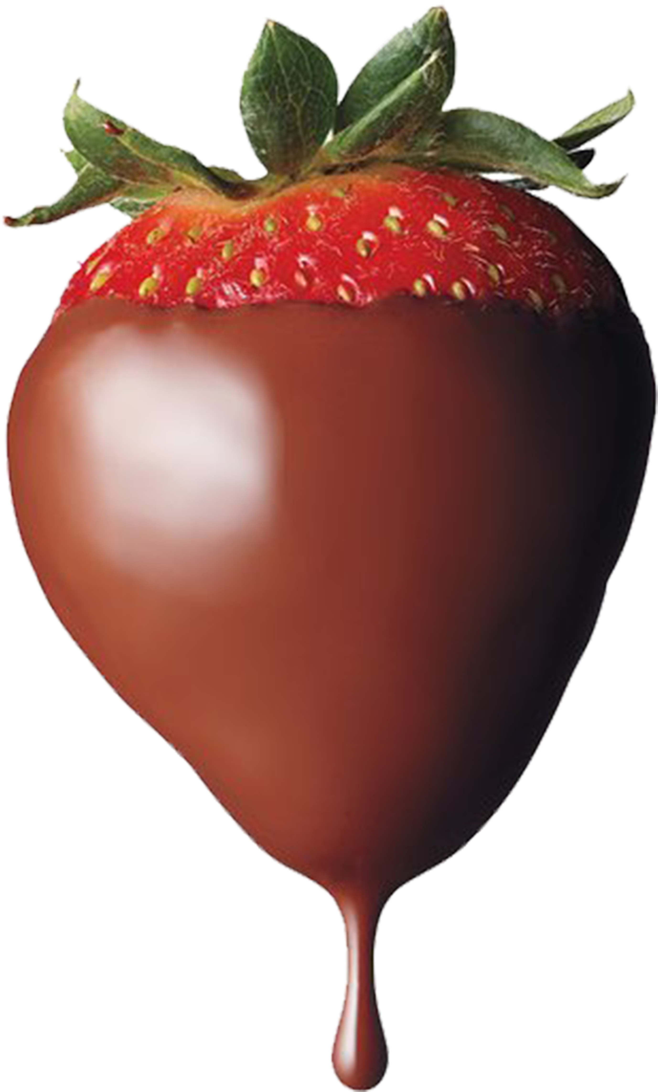 Strawberry Goat Whey Lbs - Chocolate Dipped Strawberries (3501x4585), Png Download