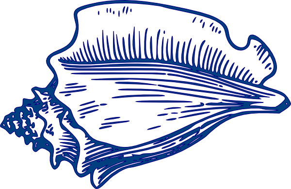 Conch Shell Svg Clip Arts 600 X 391 Px (600x391), Png Download