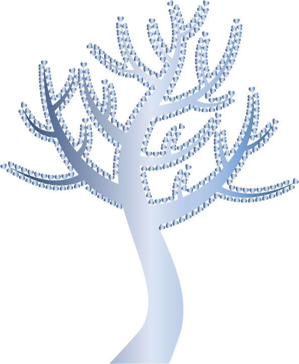 Medium Image - Tree (594x724), Png Download
