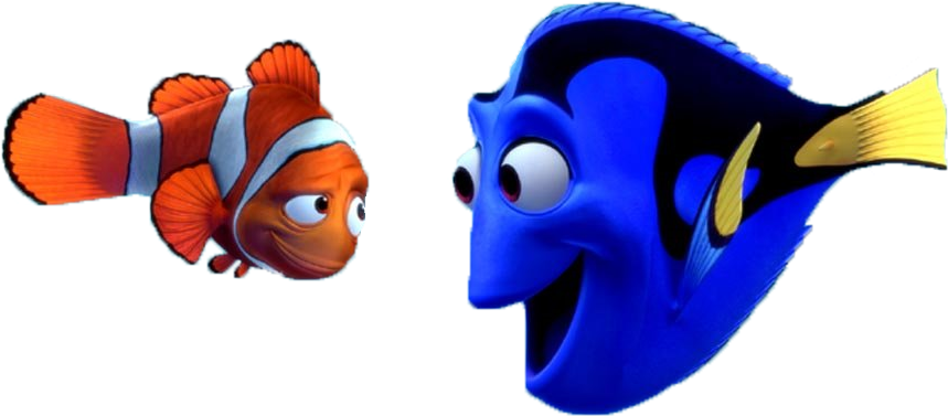 Png Procurando Nemo - Finding Nemo (1024x768), Png Download