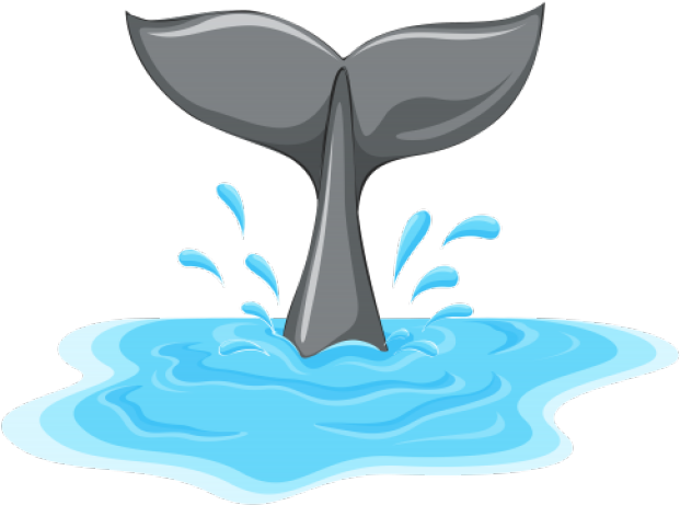 Mermaid Tail Clipart Whale Fluke - Whale Tail Cartoon (640x480), Png Download