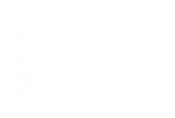 The Only Group Living Cat Species In The World, Lions - Lion From The Tribe Of Judah Hebrew Israelites Messianic (491x381), Png Download