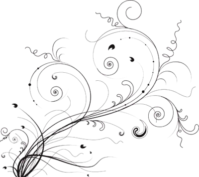 White Flower Vector Png Pics Photos - Floral Flower Wall Mural 4 (400x355), Png Download
