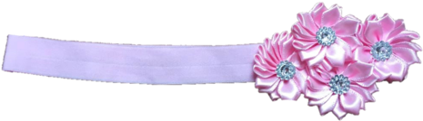 Pretty Pink Flowers Headband - Pink Flowers (480x360), Png Download