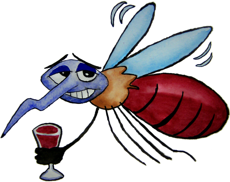 Mosquito Cocktail - Mosquito Cartoon Png (800x635), Png Download