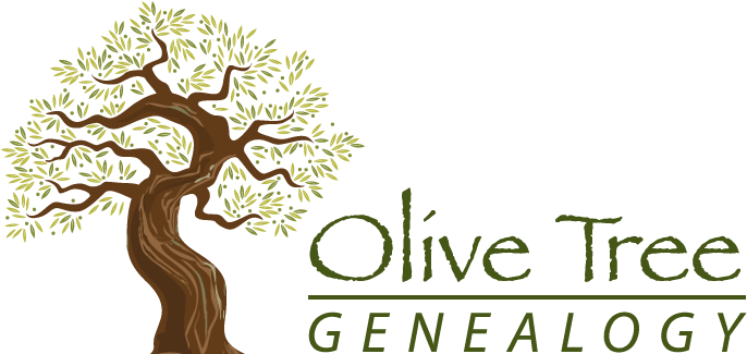 Olive Tree Genealogy New Logo - Branches (722x351), Png Download