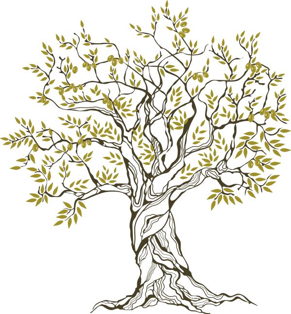 Olive Tree, The Blessed One - Family Tree (600x649), Png Download