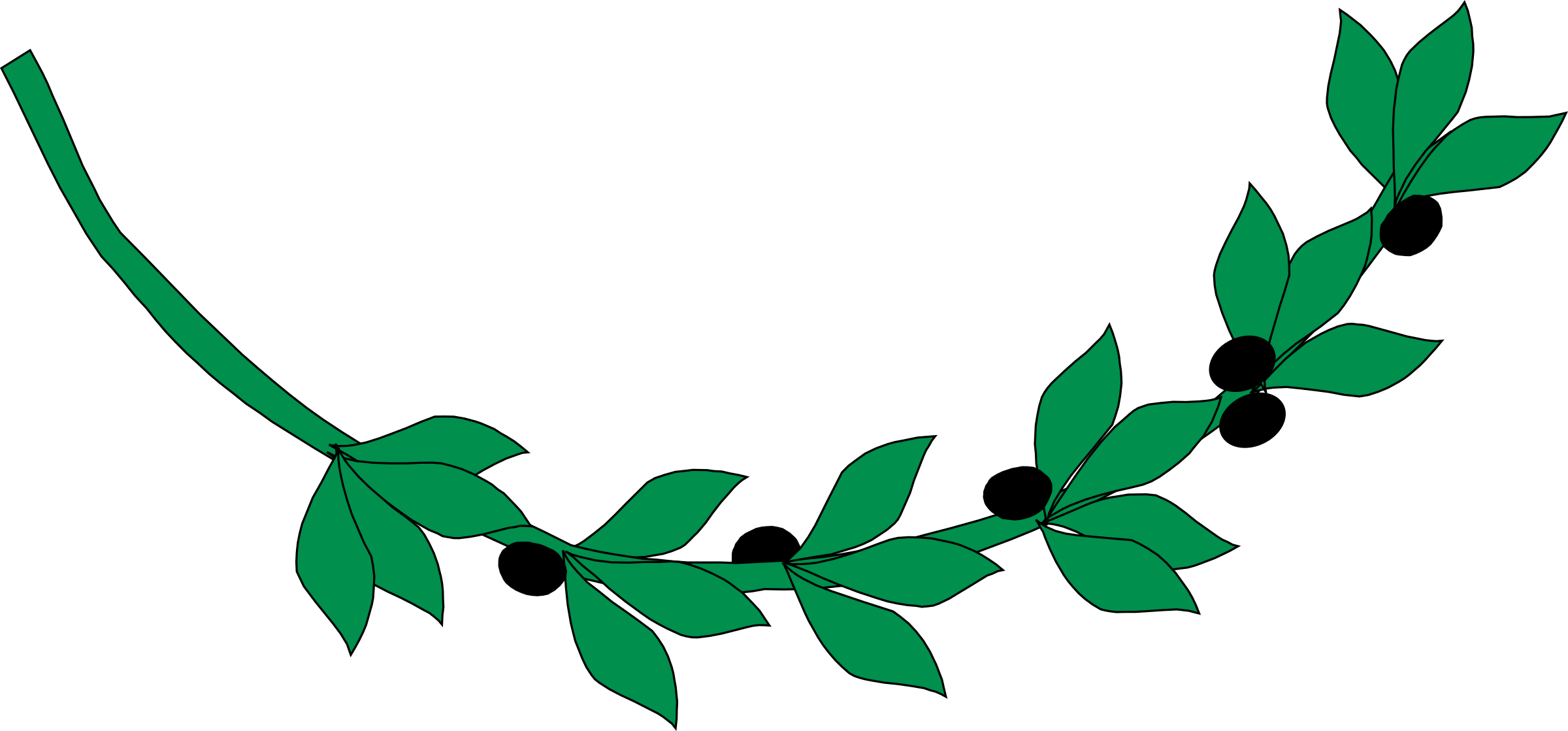 Medium Image - Olive Branch Clip Art (800x373), Png Download
