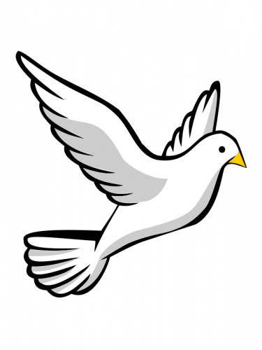 Next - Dove Clipart (375x500), Png Download
