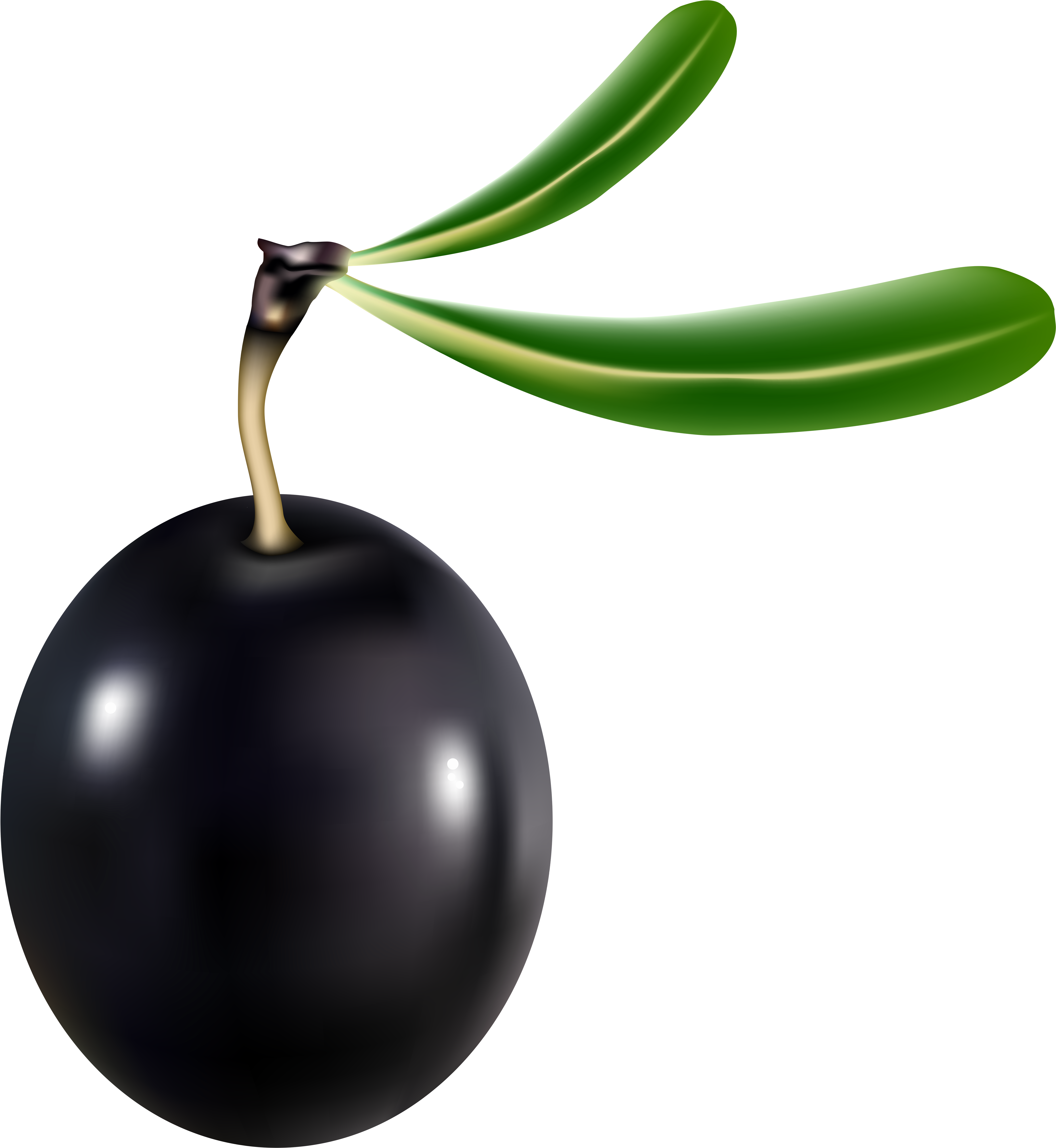 Black Olive Png (5510x6000), Png Download