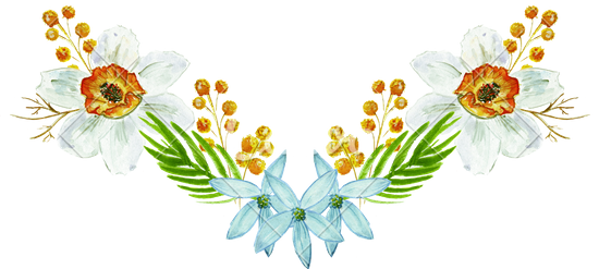 Clipart Free Chamomile Drawing Watercolor - Hand Drawn Floral Ornament Png (550x247), Png Download
