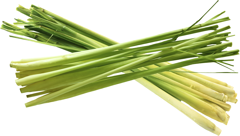 Non Toxic - Olivenation Lemon Grass Powder 4 Oz (800x453), Png Download