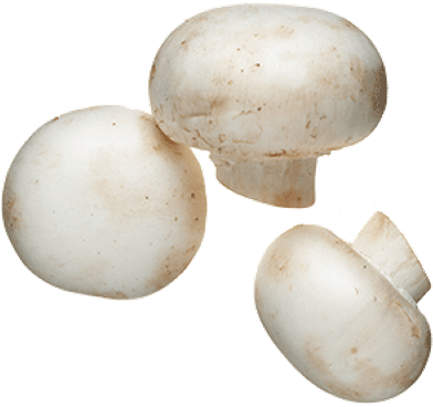 White Mushrooms (400x400), Png Download