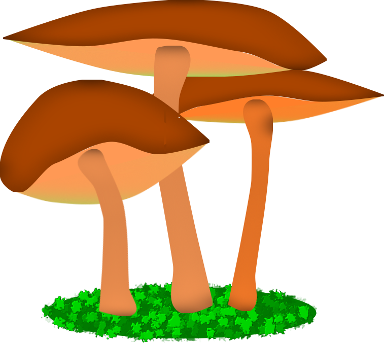Illustration Friday - “mushroom” (757x678), Png Download