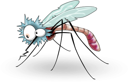 Mosquito Animado Png (566x800), Png Download