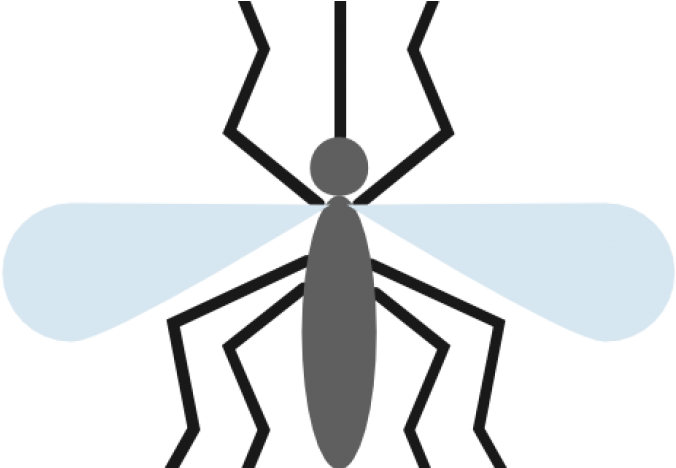 Mosquito Itok=pxbzx5pw - Mosquito Icon (747x467), Png Download