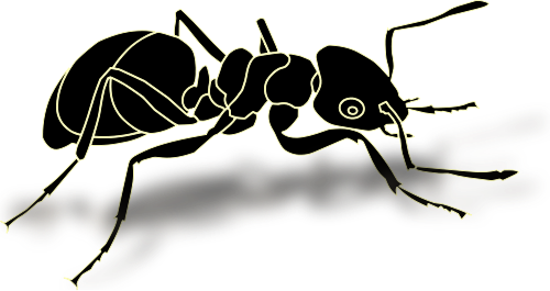 Ant Png Transparent Images - Transparent Ant (500x265), Png Download