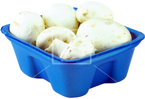 Fresh Mushrooms Png - Animal Cracker (550x383), Png Download