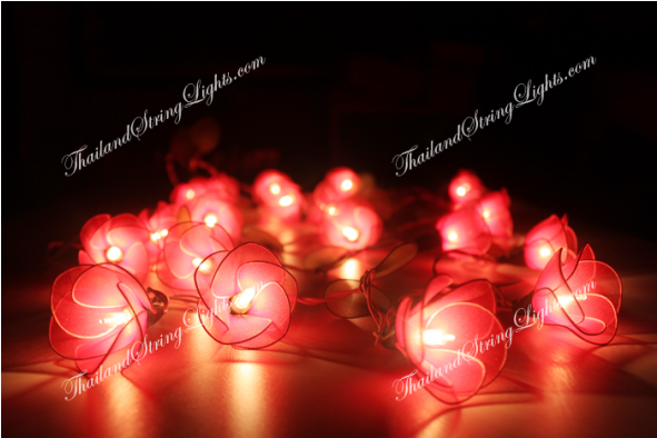 Light (590x590), Png Download