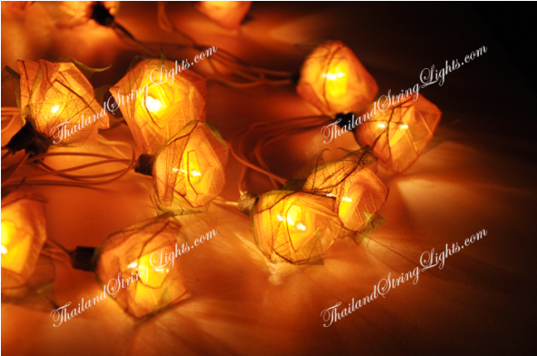 Paper Lantern (590x590), Png Download