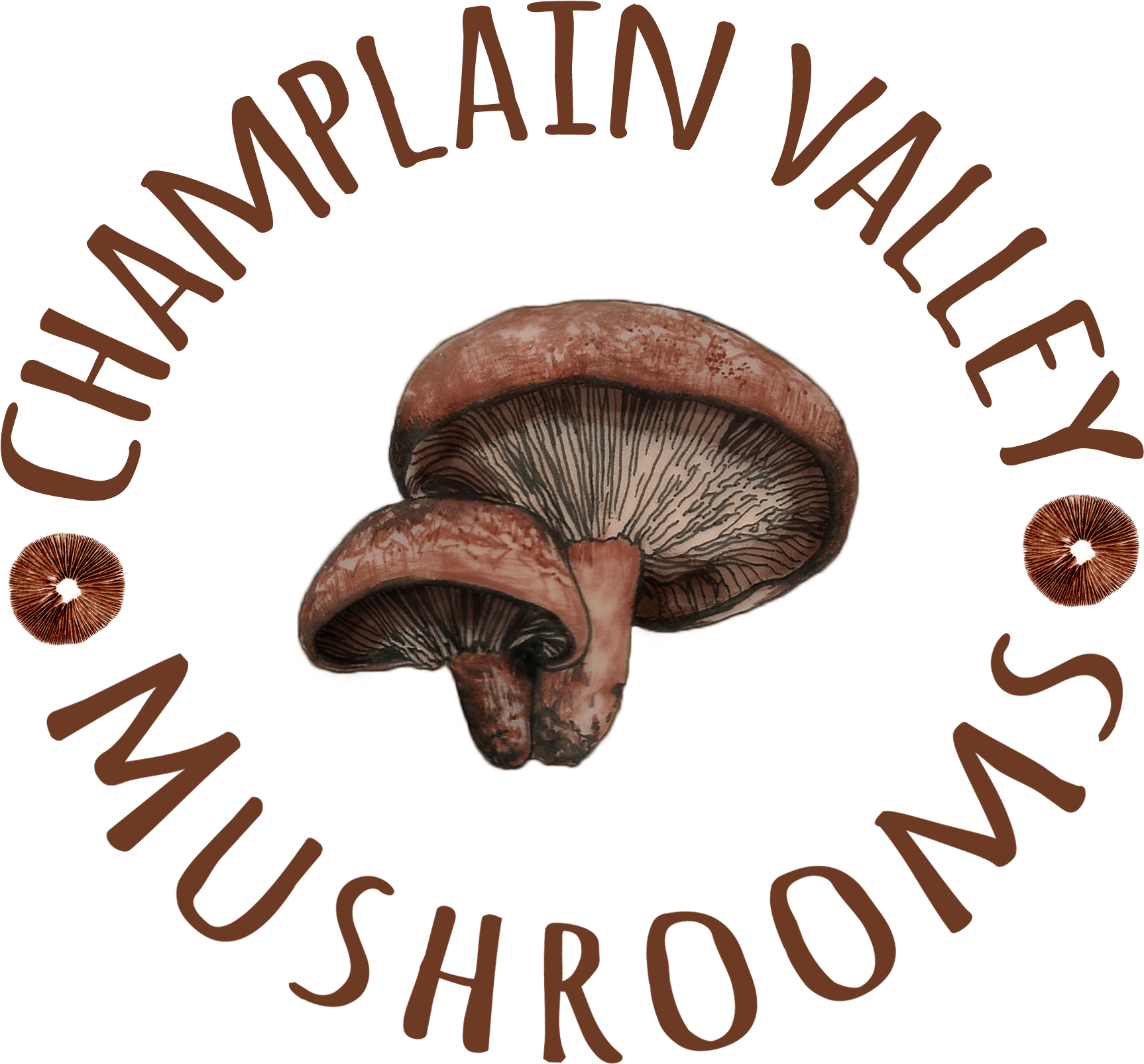 Mushrooms Png (1814x1689), Png Download