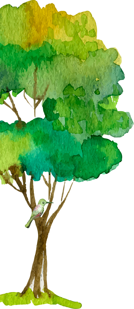 Next Governance - Oak (447x1025), Png Download