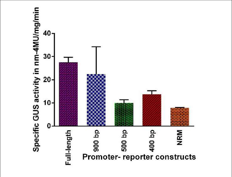 Fluorometric Assay Of Gus Activity In Transgenic Lines - Diagram (740x564), Png Download