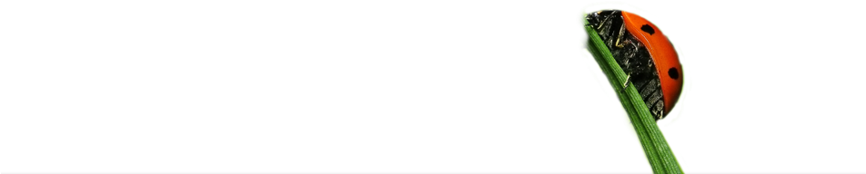 Advertising Agency Miami, Florida • Advertising And - Miami (951x320), Png Download