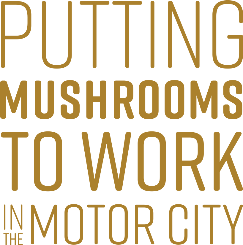 Tmf Putting Mushrooms To Work Yellow Xl - Orange (1000x1010), Png Download