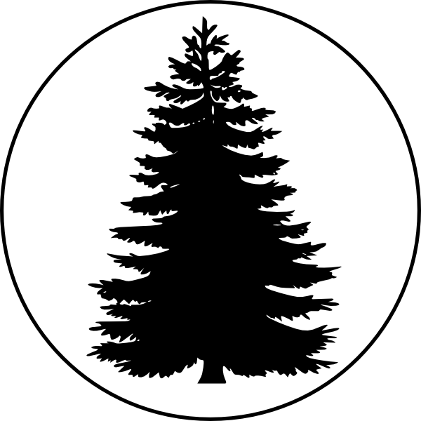 Pix For Evergreen Tree Outline - Pine Tree Silhouette Free (600x600), Png Download