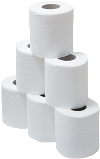 Paper - Toilet Paper Png (371x342), Png Download