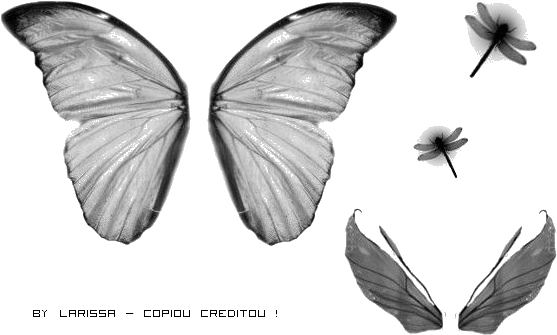 Http - //i41 - Tinypic - Com/2mg4hgn - Asas Http - - Photoscape (600x400), Png Download