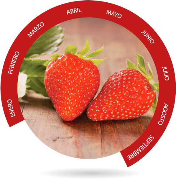 Fresa - Berry (600x711), Png Download